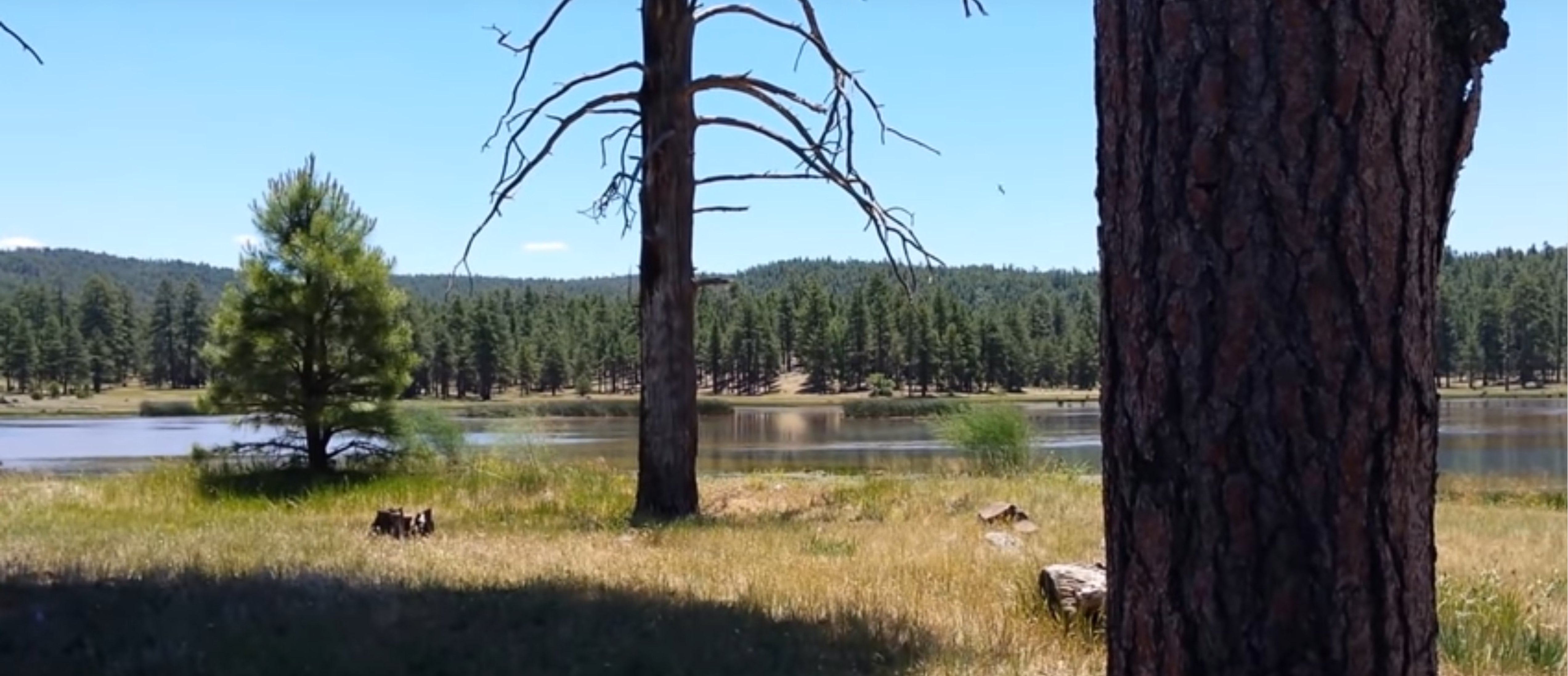 Munds Park Window Cleaning Pine Country Window Cleaning 928 527 0671