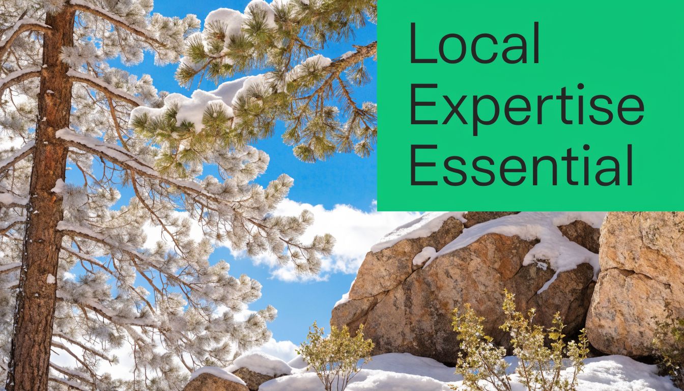 A scenic view of a snowy pine tree and rock formations against a bright blue winter sky.