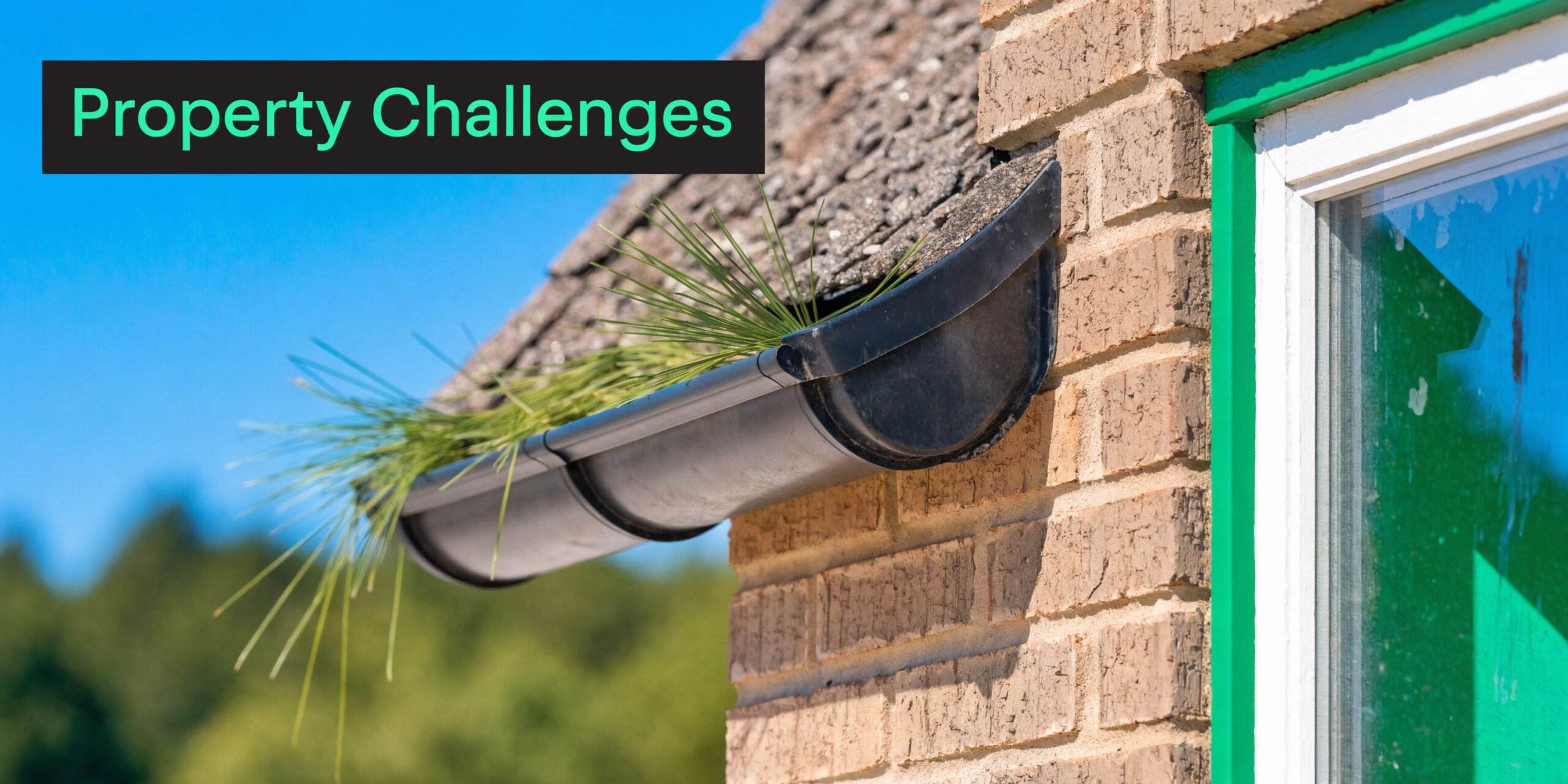 A house gutter filled with pine needles and debris against a brick wall under a blue sky.