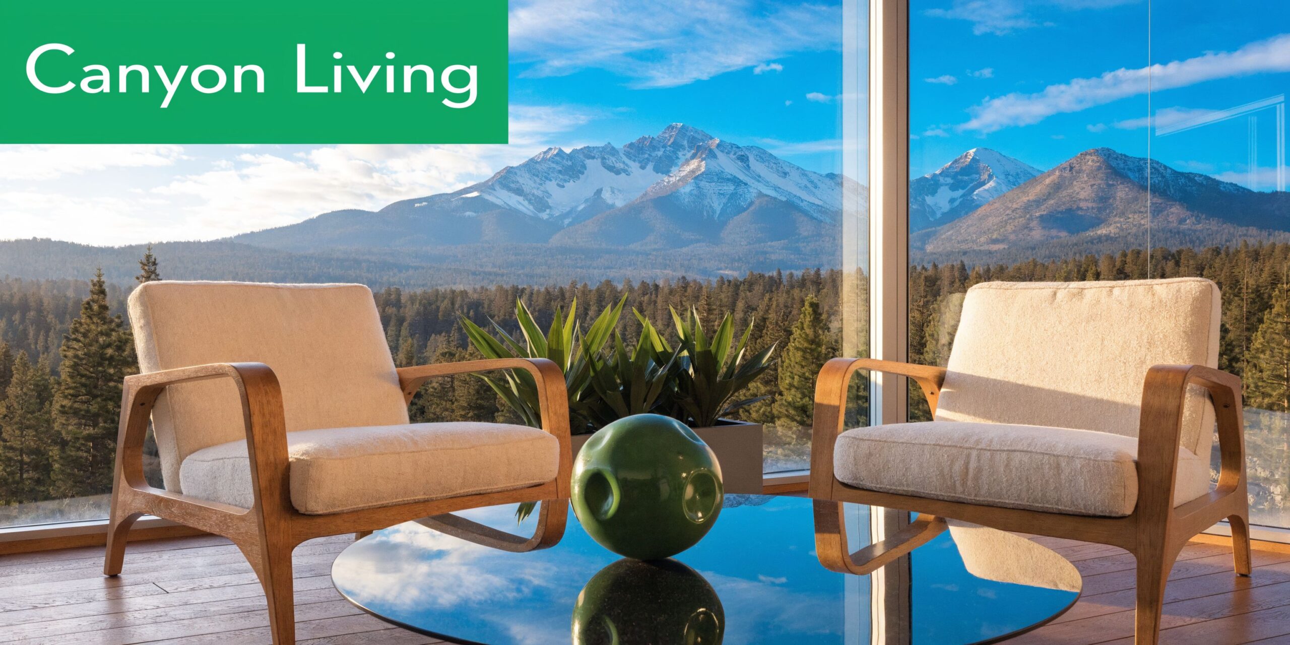 Two modern armchairs facing large windows with a scenic view of snow-capped mountains and a pine forest.