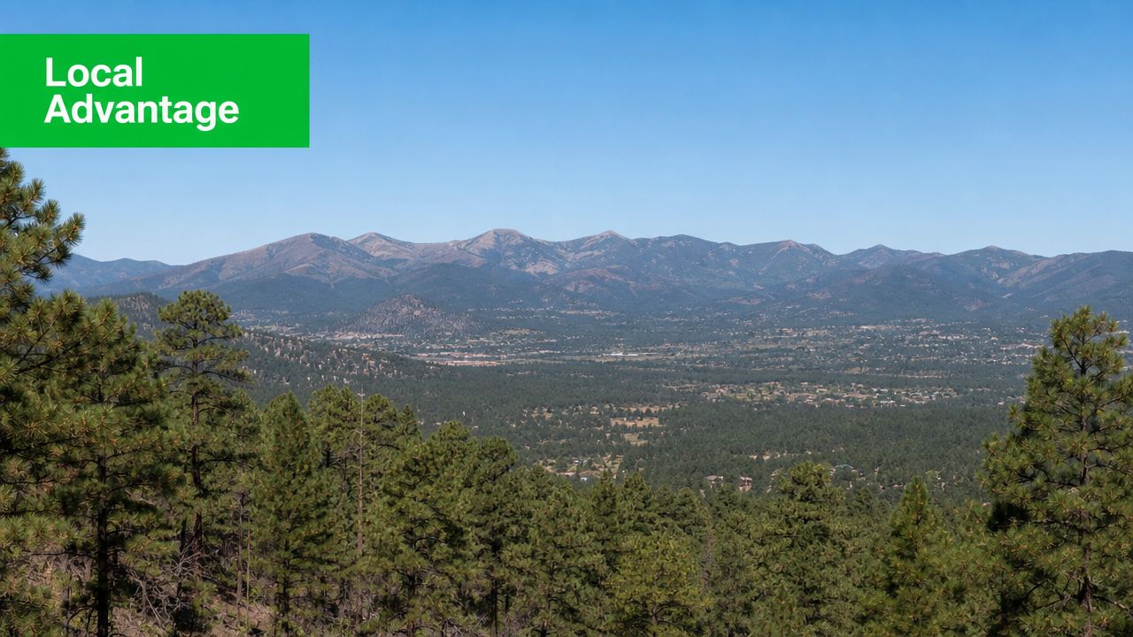 A scenic view of a forested valley looking towards a vast range of layered mountains.