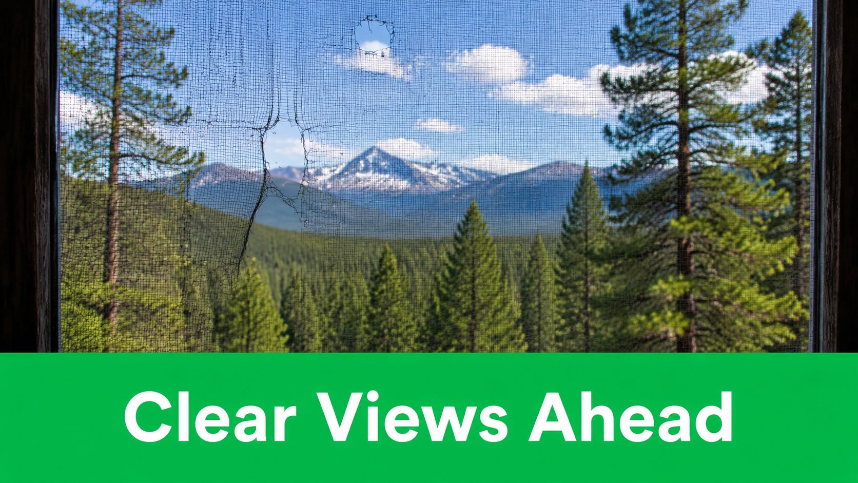 A scenic mountain landscape viewed through a torn and damaged window screen with clear focus.